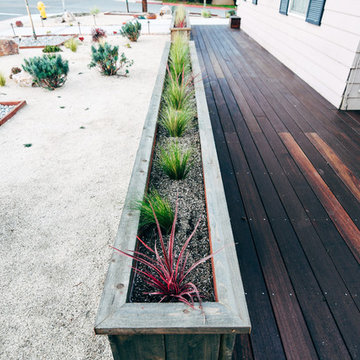 North Park Craftsman Xeriscape