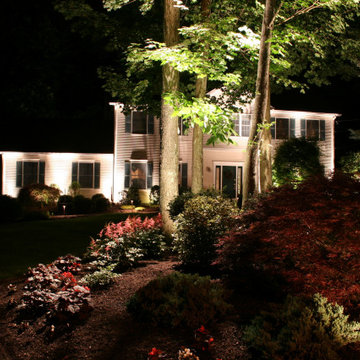 Beauty in the Landscape Lighting