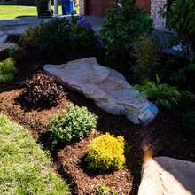 Arbor front yard