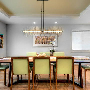 Mid- Century Contemporary ~ Kunkel Drive~ San Jose