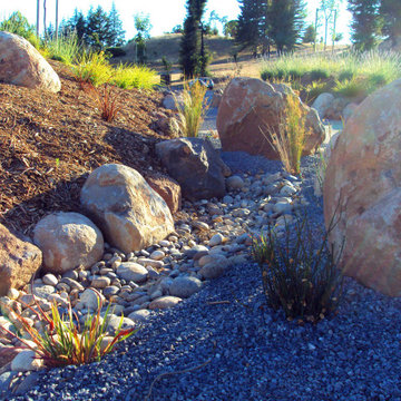 Cobble filled swale collects and directs storm water along driveway