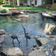 Water Features