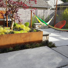 Hammock Zone