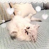 Heather Durham's photo