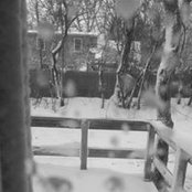 Liza Neto's photo