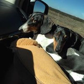 Michael Sugden's photo