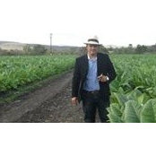 Felix Mesa's photo