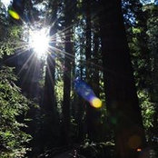 Andy Chang's photo