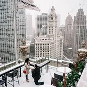 Sasha Yakoub's photo