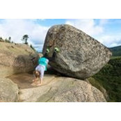 Meredith Braun's photo