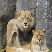 Foto de Ed Yopp
