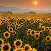 Timothy Ellis's photo