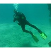 Sebastian Wittenzellner's photo