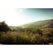 Bahaa Agha's photo