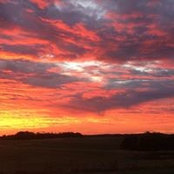 Stephanie Newcomb's photo