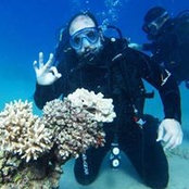 Mahmoud Elsisi's photo