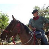 William Law's photo