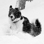 Lydia Hill's photo