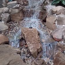 Landscape Ideas