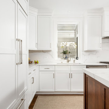 Roscoe Village Kitchen Remodel