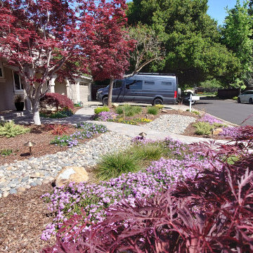DESIGN TO COMPLIMENT MAPLE TREES