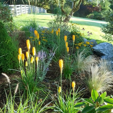 Planting