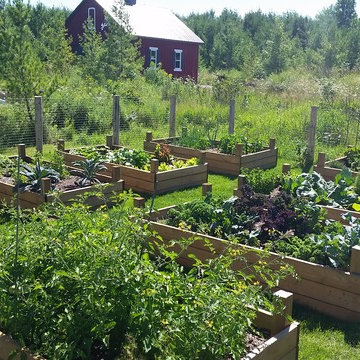 A Farmer's Market In Their Own Backyard