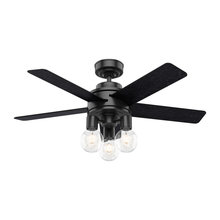 Lights & Fans