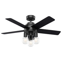 Transitional Ceiling Fans by Hunter Fan Company