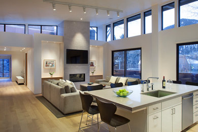 Kitchen - contemporary kitchen idea in Denver