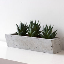 allison_levitt's ideas