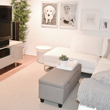 Carriere Residence - Basement