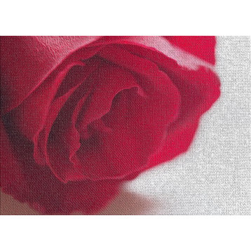 Red Rose 2 Area Rug, 5'0"x7'0"