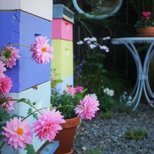 Backyard Ideas Beehives