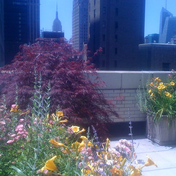 New York City Rooftop