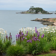 coastal landscape