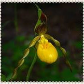 Nancy Hellyer's photo