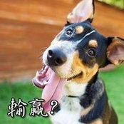 Ciou Brandさんの写真