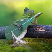 Martha Mills's photo