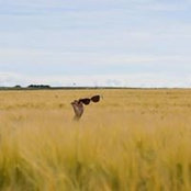 Chahra Moon's photo