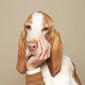 Dmitriy Phunky's photo