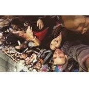 Brooke Nakashima's photo