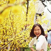 Thảo Lêさんの写真