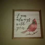 Tracey Gray's photo