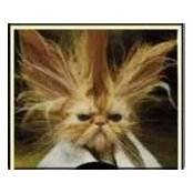 Jolie Bailey's photo