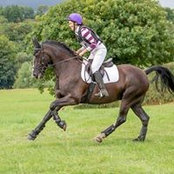 Katy Crokes billede