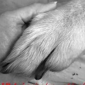 Meg Ronayne's photo