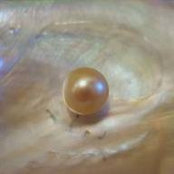 Beth Lambert's photo