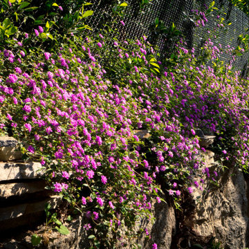 Mt Olympus Stylish Urban Oasis