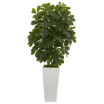 40" Schefflera Artificial Plant, White Vase, Real Touch
